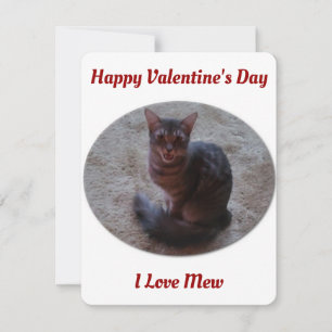 Tabby Cat Mewing Photo I Love Mew Valentines Holiday Card