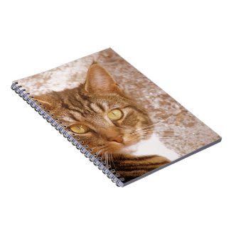 Tabby Cat Notebook