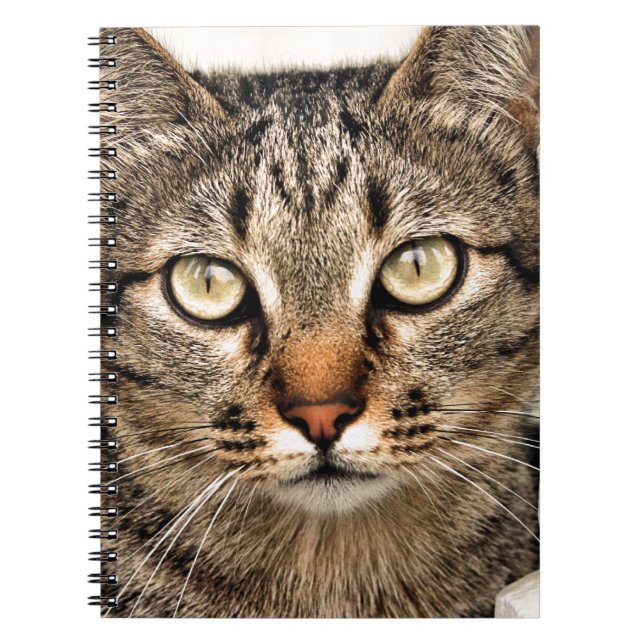 Tabby Cat Notebook (Front)