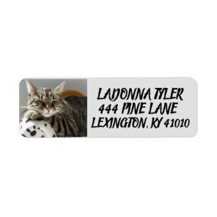 TABBY CAT ON COUCH RETURN ADDRESS LABELS