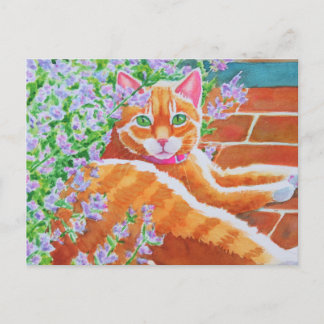 Tabby Cat on Garden Path Postcard