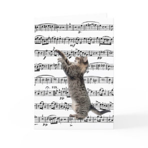 Tabby Cat On Music Birthday Card
