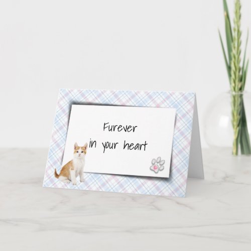 Tabby Cat On Plaid Pet Loss Sympathy Card