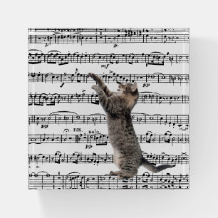 Tabby Cat On Sheet Music Paperweight