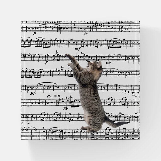 Tabby Cat On Sheet Music Paperweight (Front)