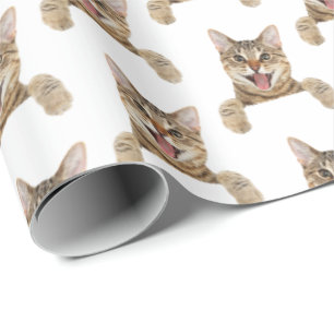 tabby cat on white wrapping paper