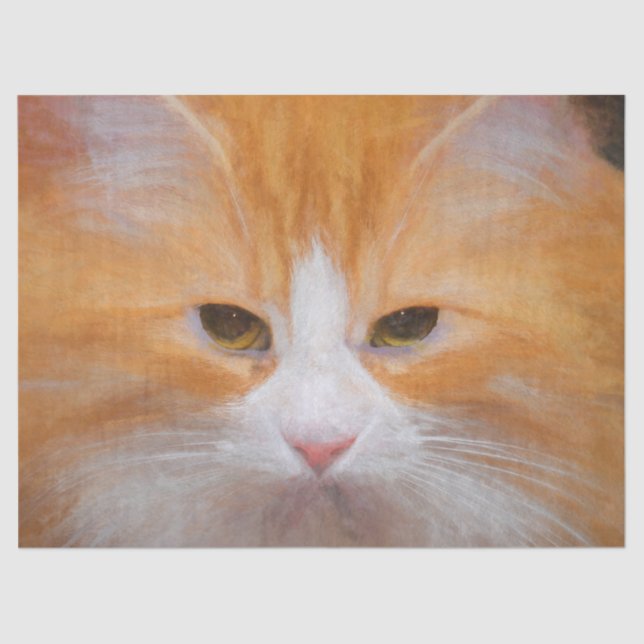 Tabby Cat Orange White Cute Fluffy Beautiful Tissue Paper (Front)