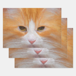 Tabby Cat Orange White Cute Fluffy Beautiful Wrapping Paper Sheets