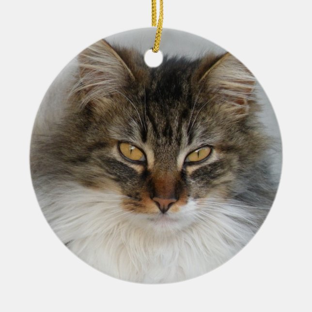 Tabby Cat ornament (Front)