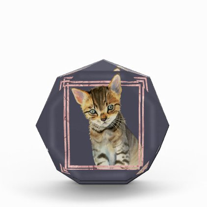 Tabby Cat Painting with Faux Rose Gold Foil Frame Photo Block