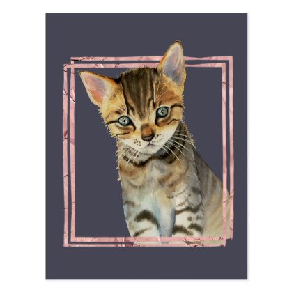 Tabby Cat Painting with Faux Rose Gold Foil Frame Postcard