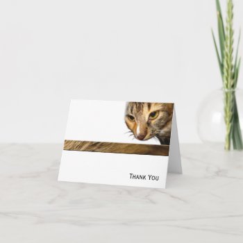 Tabby Cat Peeking From The Top Right Corner Thank You Card by BeSeenBranding at Zazzle
