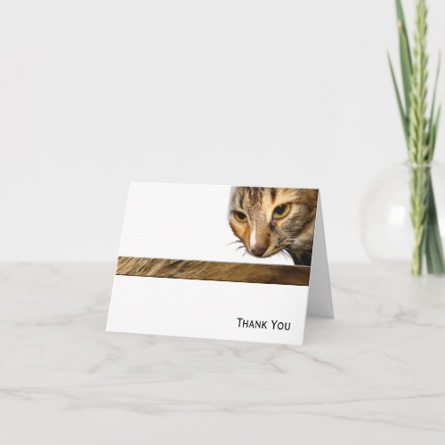 Tabby Cat Peeking from the Top Right Corner Thank You Card