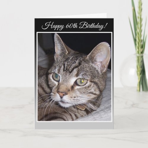 Tabby Cat Personalised 60th Birthday Greeting Card