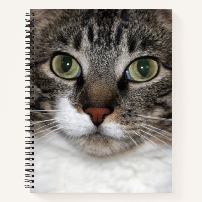 Tabby Cat Pet Animal Face Photography Notebook (Front)
