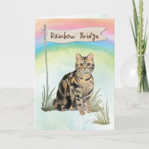 Tabby Cat Pet Sympathy Over Rainbow Bridge Card