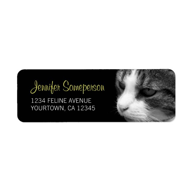 Tabby Cat Photograph Label (Front)