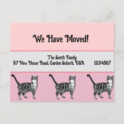Tabby Cat Pink New Address Postcard We Are Moving Postcard