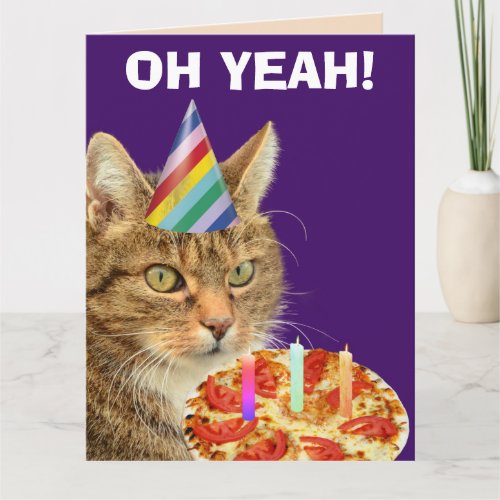 TABBY CAT PIZZA FUNNY BIRTHDAY BIG GREETING CARD