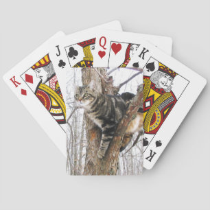 Tabby Cat Playing Cards