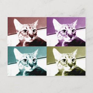 Tabby Cat - Pop Art Postcard