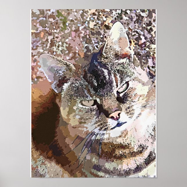 TABBY CAT POSTER (Front)