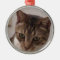 Tabby Cat Premium Round Ornament