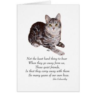 Tabby Cat Rainbow Bridge Cards