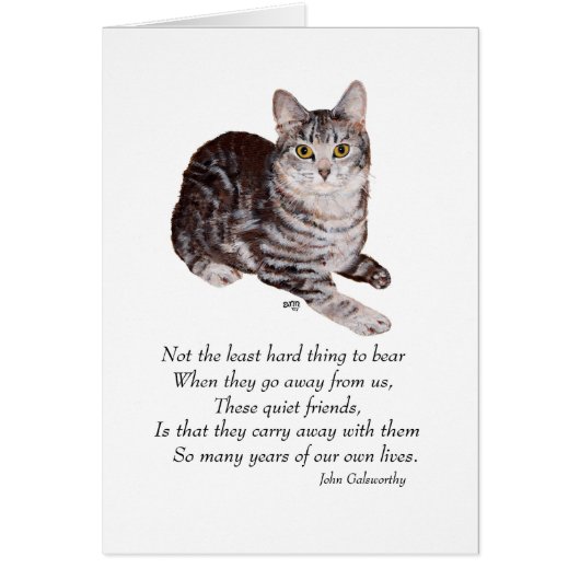 Tabby Cat Rainbow Bridge Cards (Front)