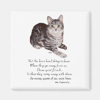 Tabby Cat Rainbow Bridge