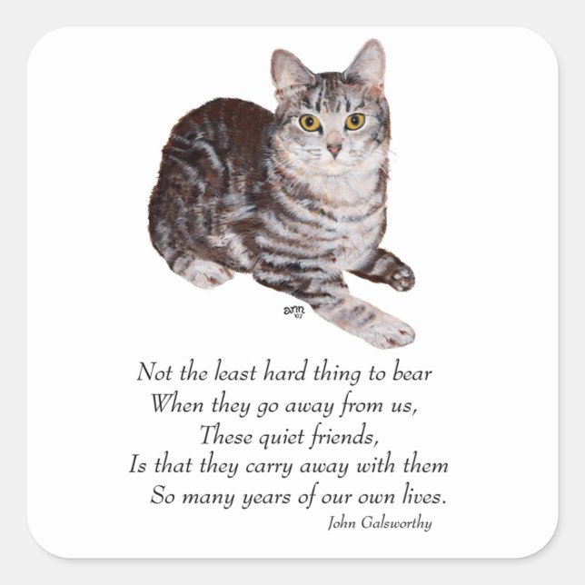 Tabby Cat Rainbow Bridge Square Sticker (Front)