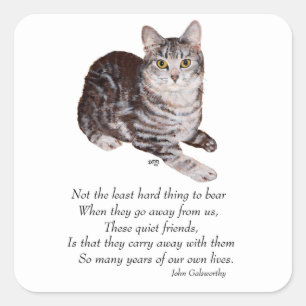 Tabby Cat Rainbow Bridge Square Sticker
