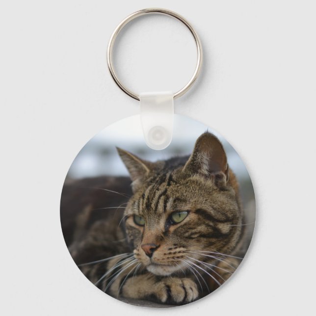 Tabby cat ready for action keychain (Front)
