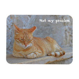 Tabby cat resting in Dubrovnik Not my problem! Magnet