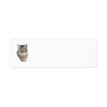 Tabby Cat Return Address Labels by MaggieRossCats at Zazzle
