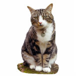 Tabby Cat Sculpture<br><div class="desc">Cute tabby cat sculpture to sit on your desk and remind you of your favorite pet.</div>