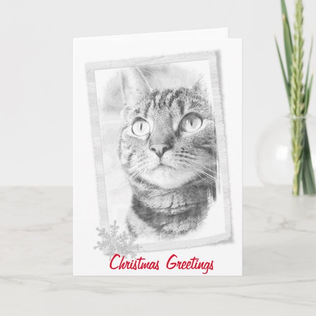 Tabby Cat Sketch Christmas Card (Front)