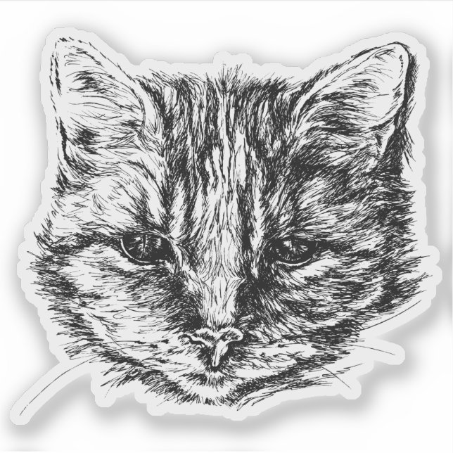 Tabby Cat Sketch Sticker (Front)