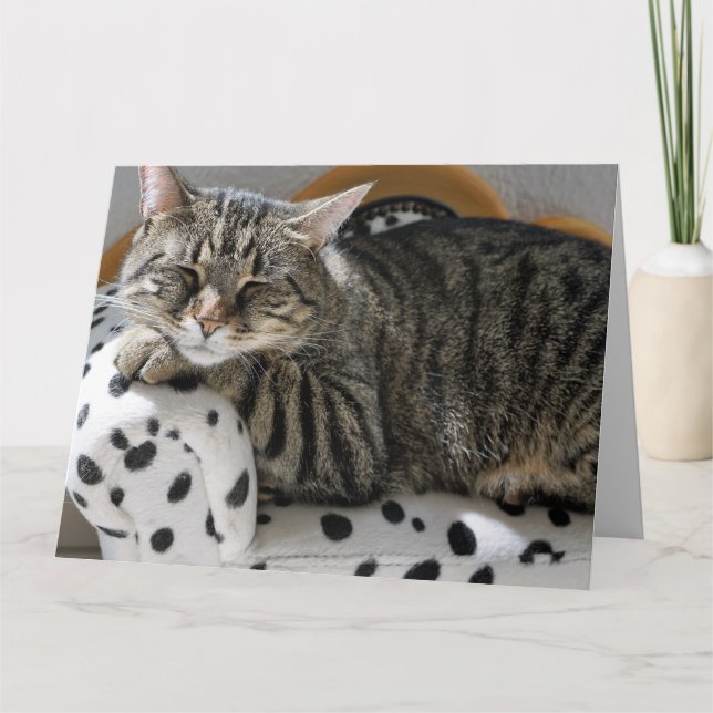 TABBY CAT SLEEPING BIRTHDAY GREETING CARD (Front)