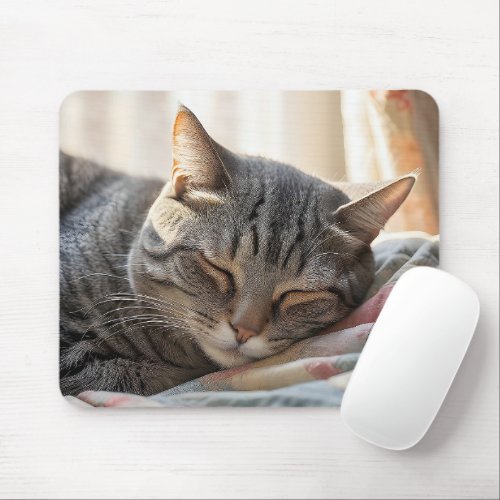 Tabby Cat Sleeping On Old Quilt  Mouse Pad