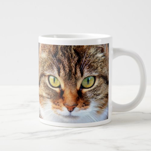 Tabby Cat Stare Close_up Face Giant Coffee Mug