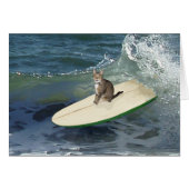 Tabby Cat Surf's Up! (Front Horizontal)