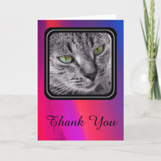 Tabby cat Thank You card - dazzling pink