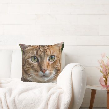 Tabby Cat Throw Pillow by usadesignstore at Zazzle