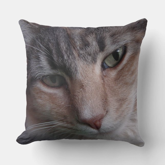 Tabby Cat Throw Pillow (Front)