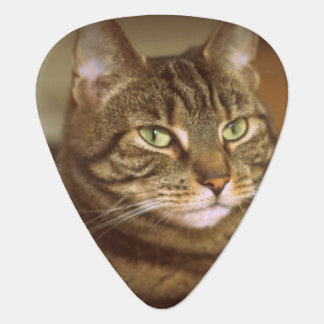 Tabby Cat Vintage 1960s Style Guitar Pick