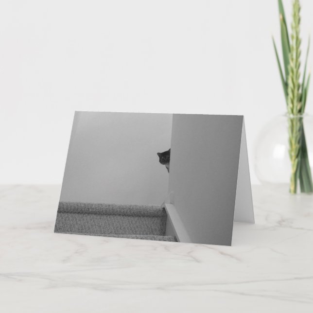 Tabby Cat - Watching, card (Front)