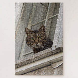 Tabby cat watching you from the window jigsaw puzzle