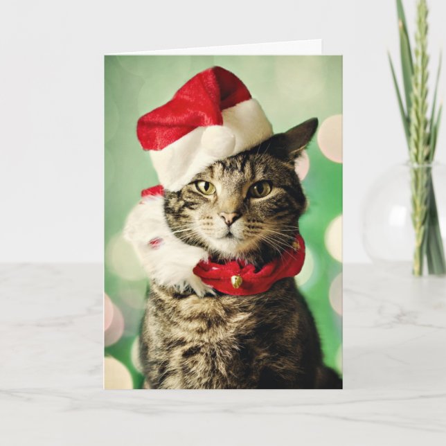 Tabby cat wearing a Christmas hat and collar Holiday Card (Front)