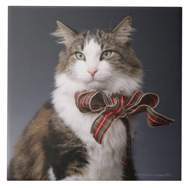 Tabby cat wearing plaid bow ceramic tile (Front)